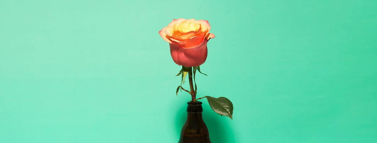 header - bloem - tuin - groen - bier - flesje - frank brandwijk