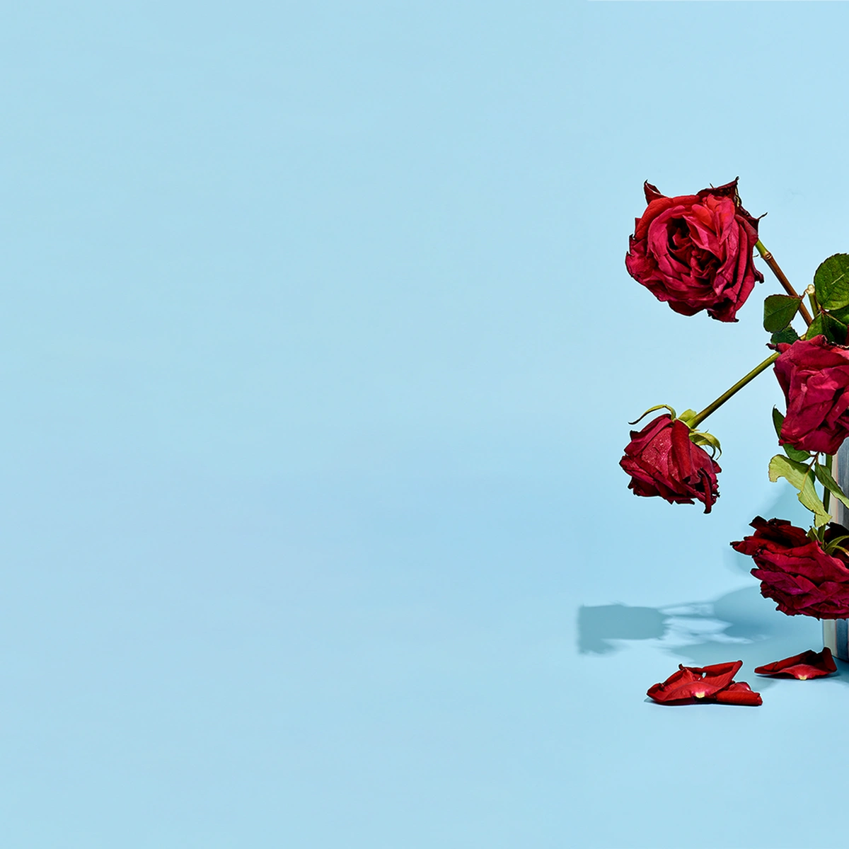 2023 - 06 - Hero -  STILLS -  MEERSEXGRAAG - COVERSTORY - Fotografie Tom ten Seldam - Styling Anne Lotte van Brees