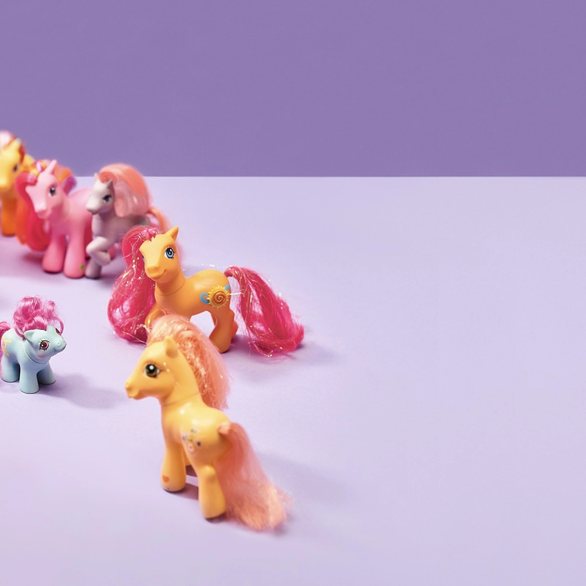Header - ponies - gezin - Tom ten Seldam