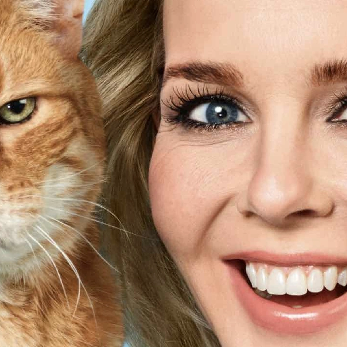 Header - Chantal - Grumpy Cat - cover - 3 - editie 3 - kat