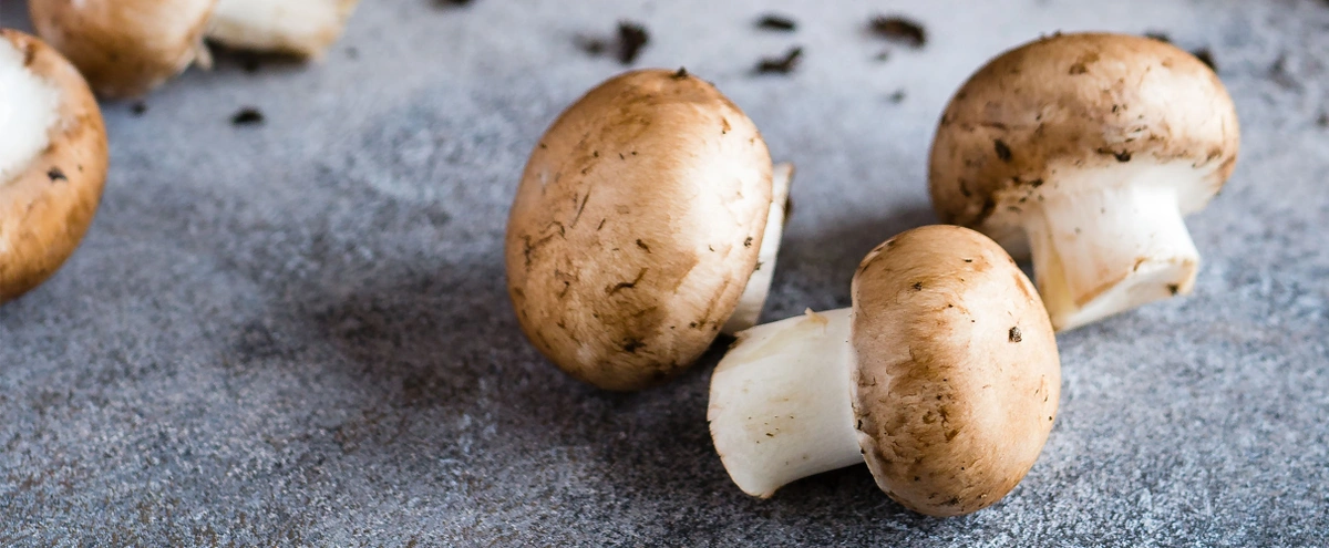 header - champignons - eten - unsplash