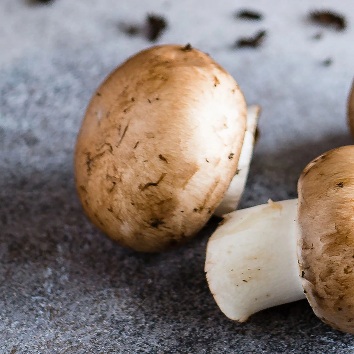 header - champignons - eten - unsplash