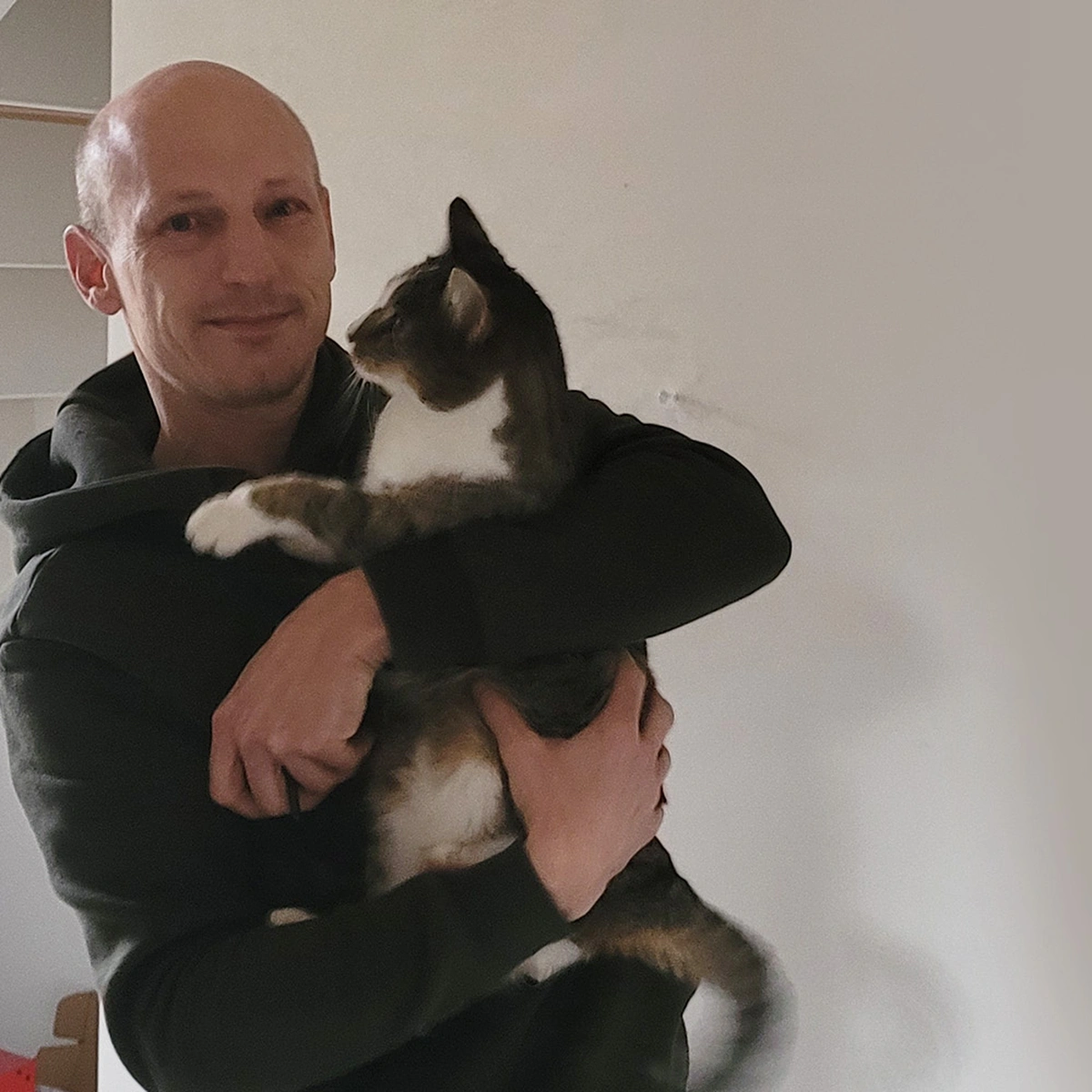 header - mick - rijmen - kat - mick rijmwoordenboek