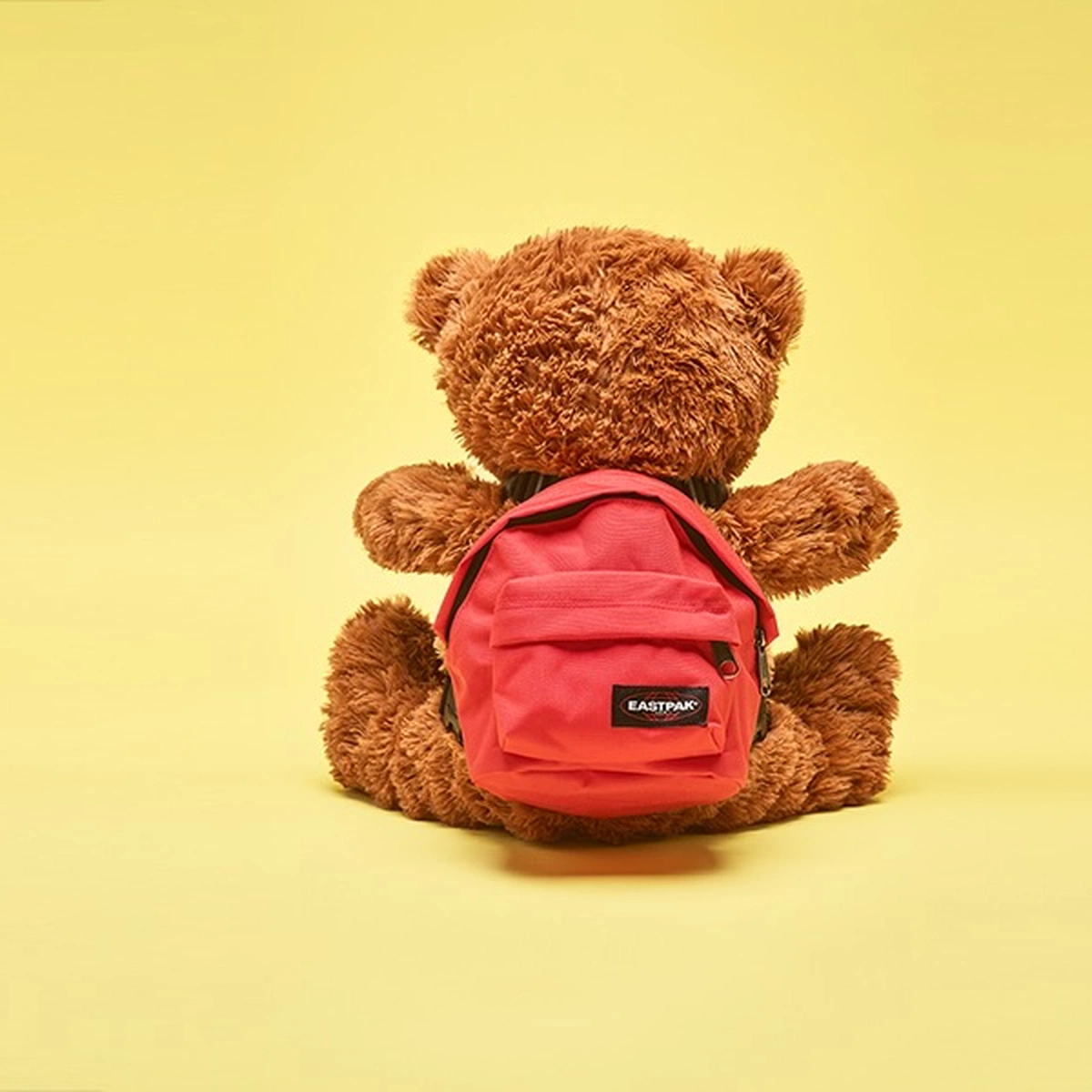 06 -Stills - beer-rugzak-kind Tom ten Seldam-Header1