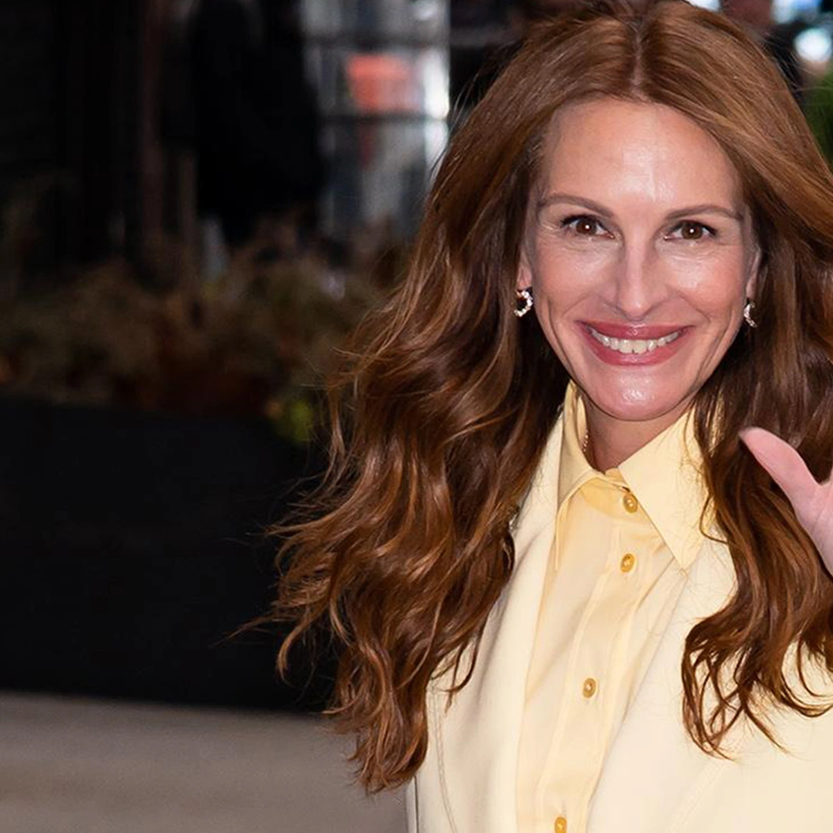 header - julia roberts - creme - brunopress