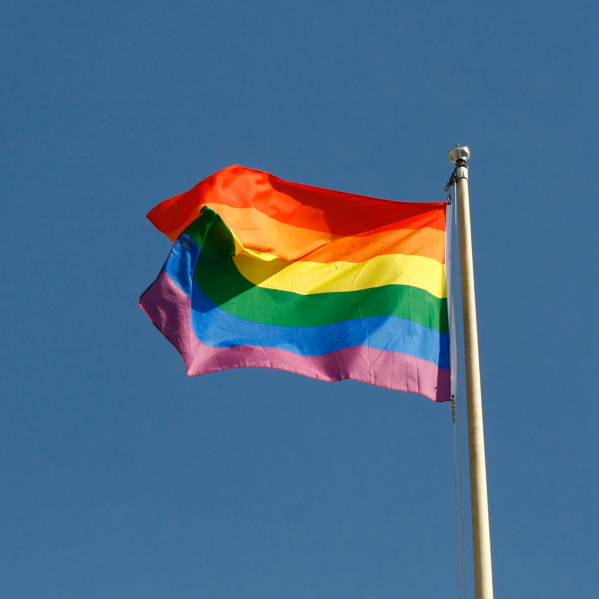 'Homogenezing' komt vaker voor dan we denken, blijkt uit onderzoek