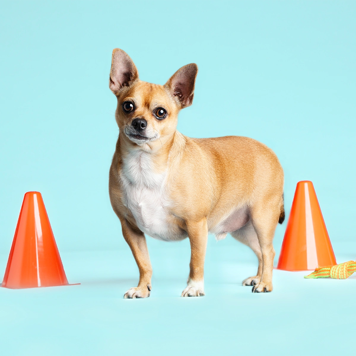 01FS - Extra Portretten - INTERVIEWS Ismay Gijssen FOTOGRAFIE Esther Vinju Photography - Header5