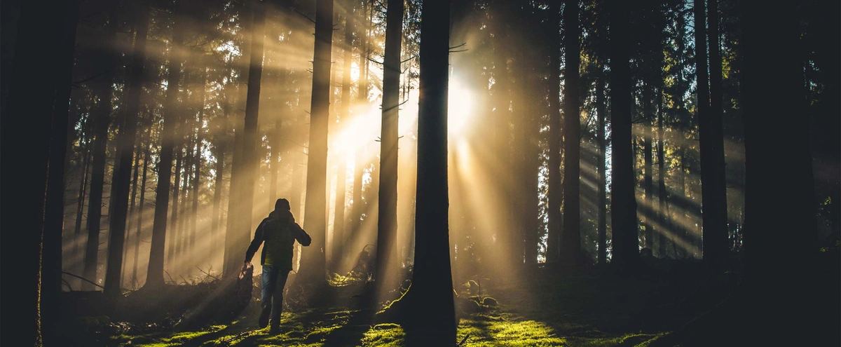 header -natuur - lopen - wandelen