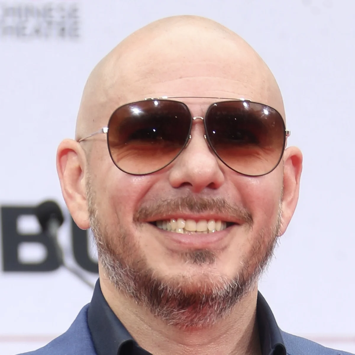 Pitbull NL Beeld