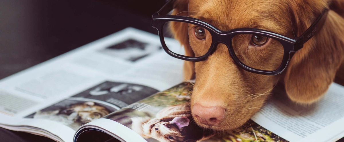 Deze 7 vragen wil je altijd stellen tijdens een sollicitatiegesprek