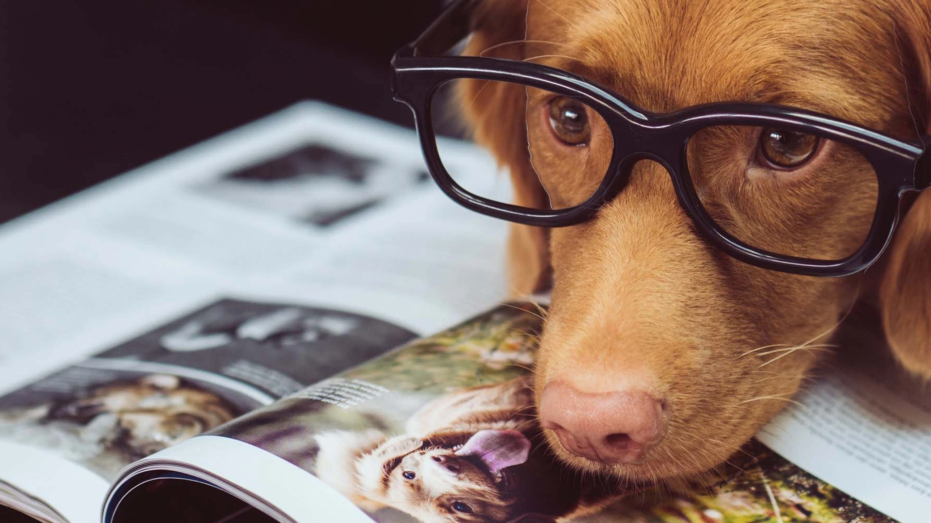 Deze 7 vragen wil je altijd stellen tijdens een sollicitatiegesprek