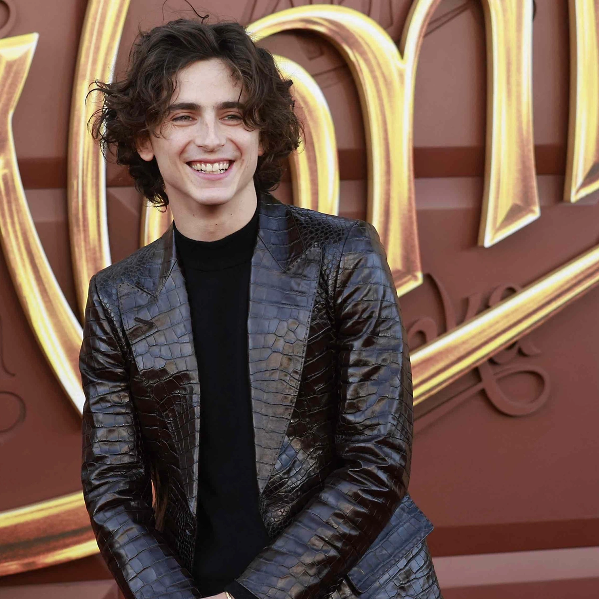 ANP Willy Wonka Netflix Timothee Chalamet 