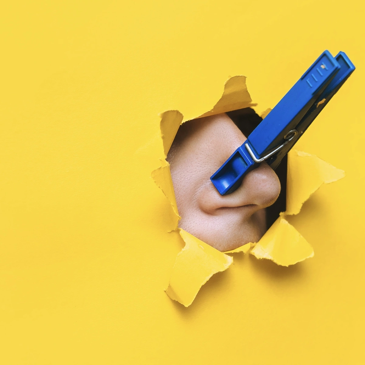 Header - neus - wasknijper - stank - Shutterstock