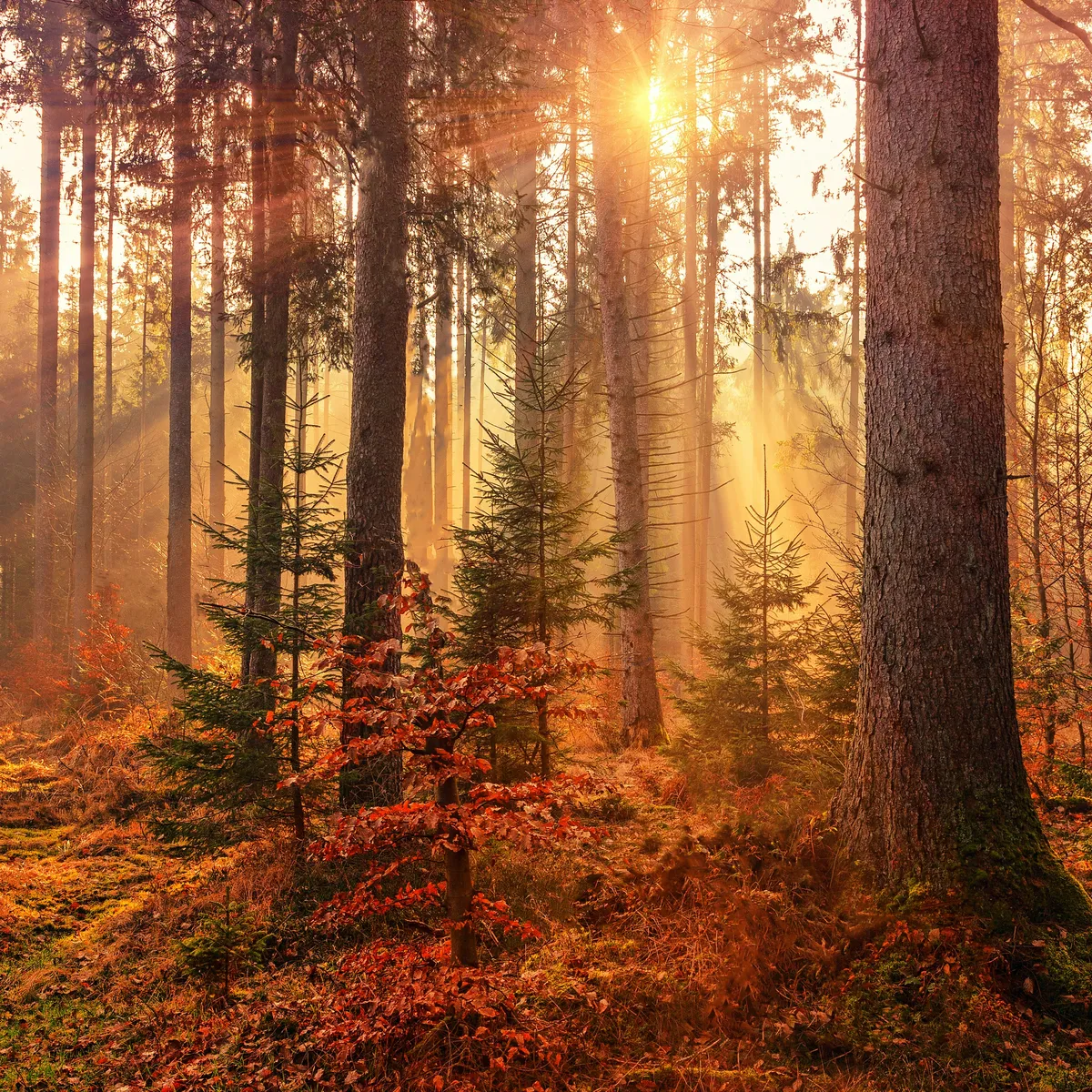 Waarom heb je meer last van kwaaltjes zodra de herfst begint?