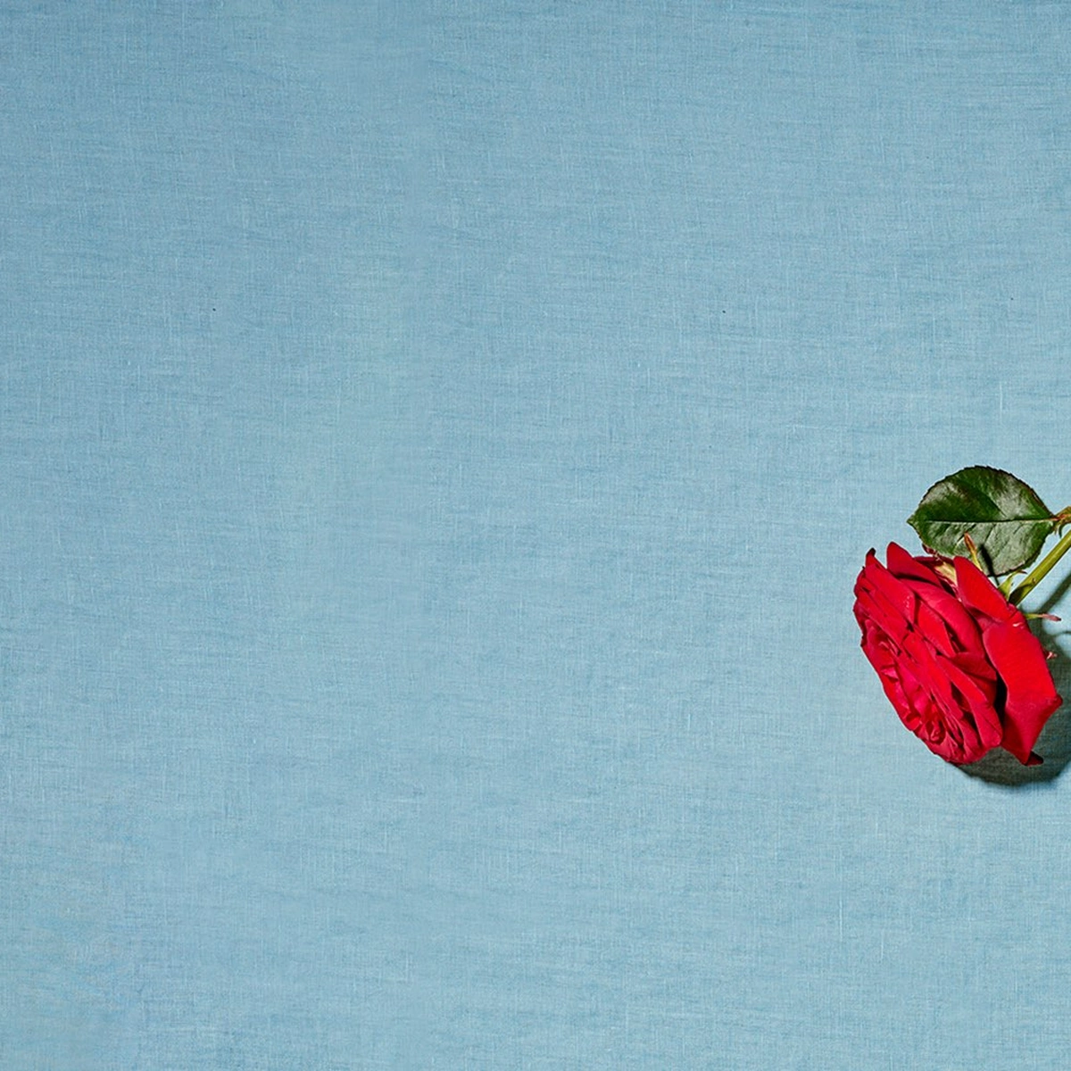 2023 - 06 - Hero -  STILLS -  BODY&MIND3 - roos- LIEFDE&SEKS - Fotografie Tom ten Seldam - Styling Anne Lotte van Brees