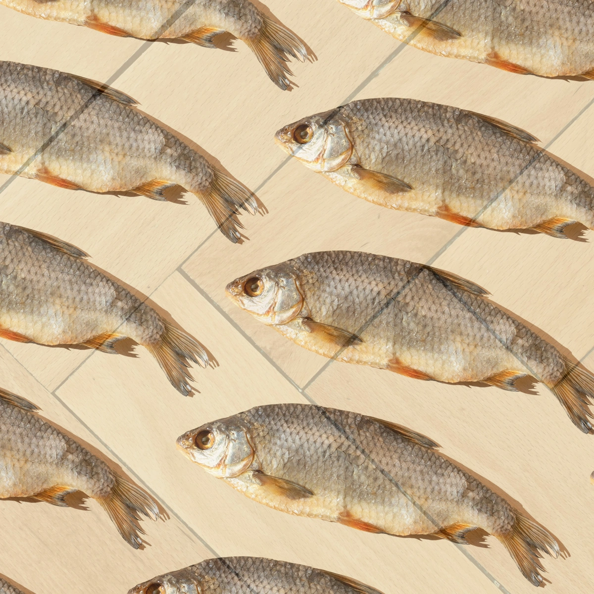 [P] Vissen - visgraatvloer - interieur