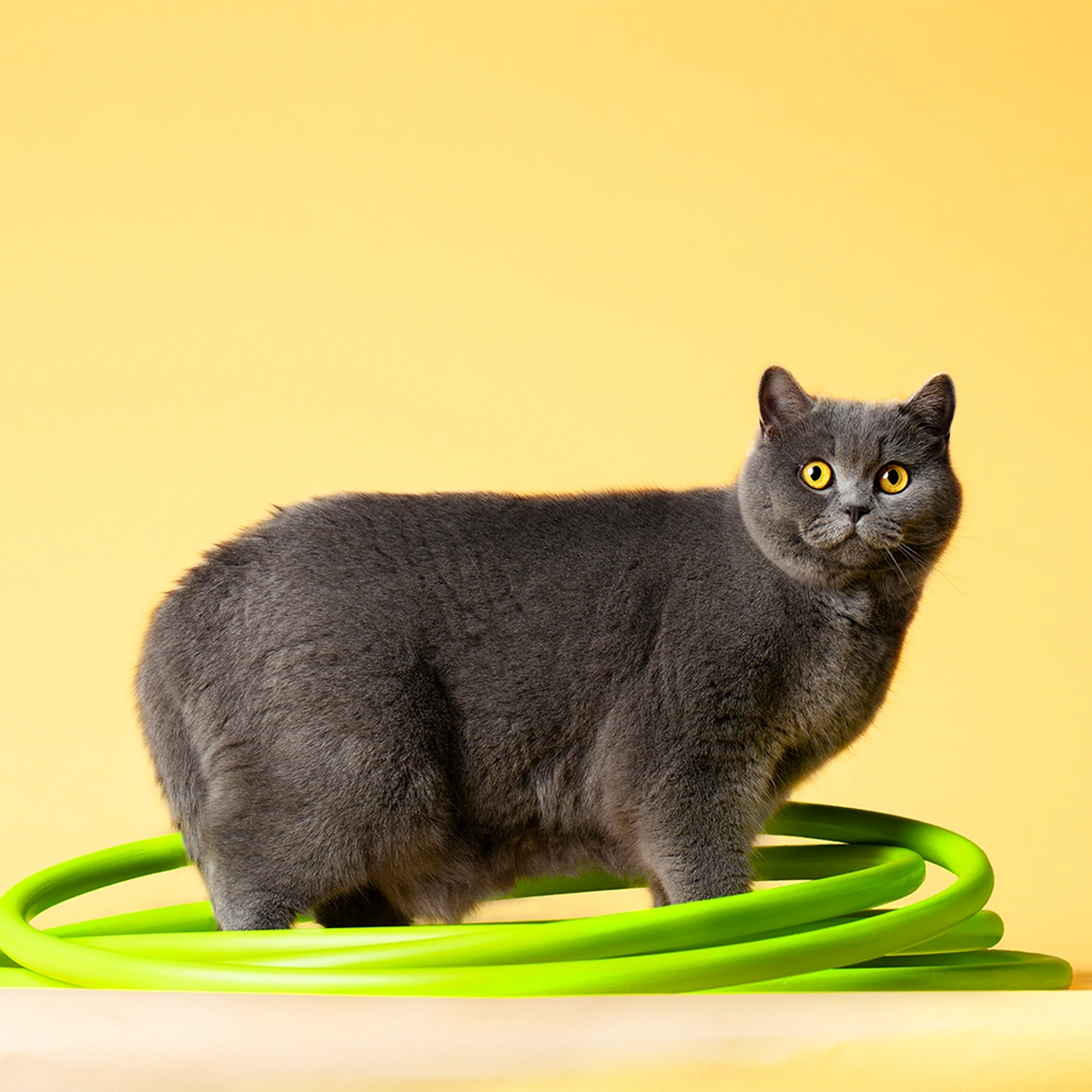 01FS - Extra Portretten - Lilly - INTERVIEWS Ismay Gijssen FOTOGRAFIE Esther Vinju Photography - Header2