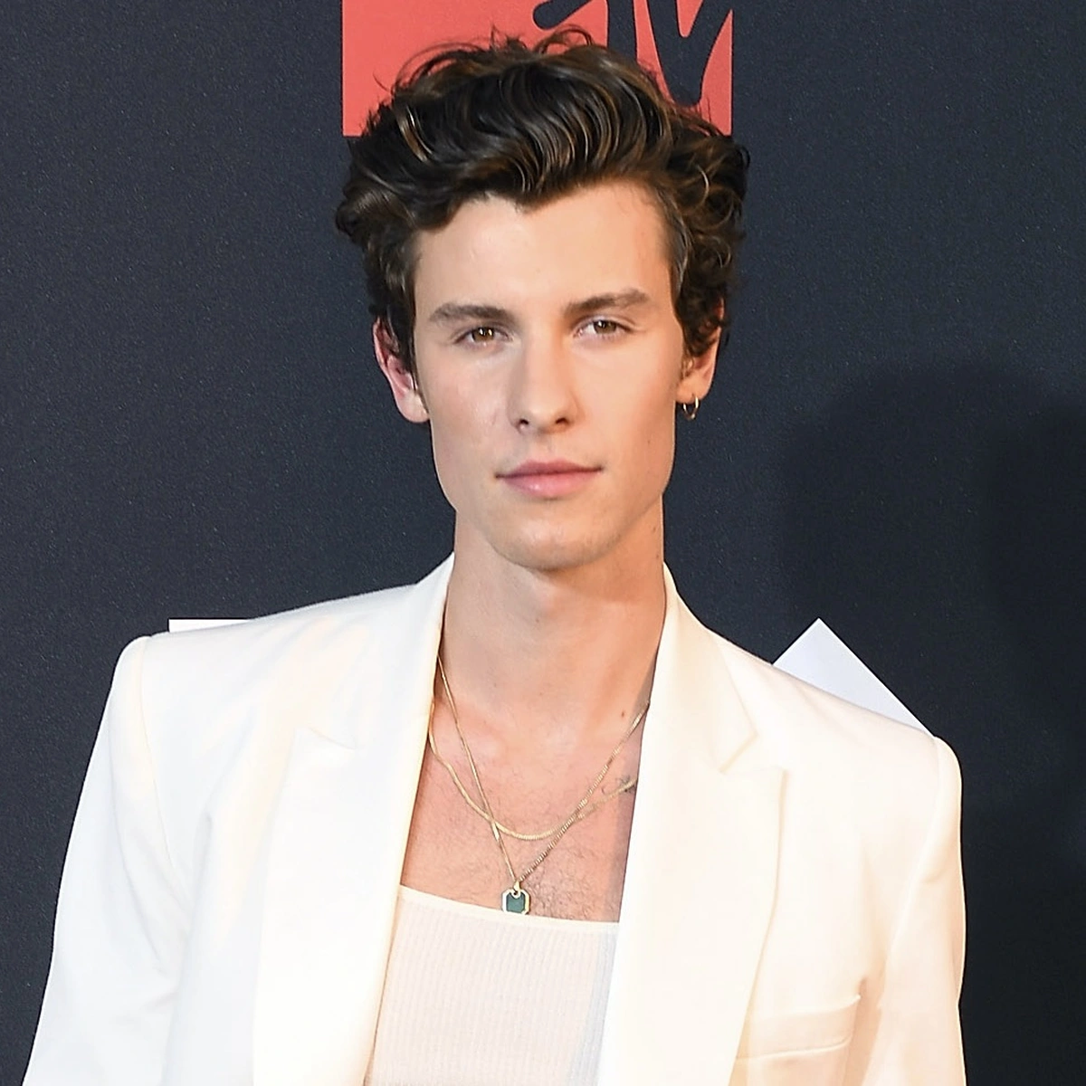 Shawn Mendes - portret - rode loper