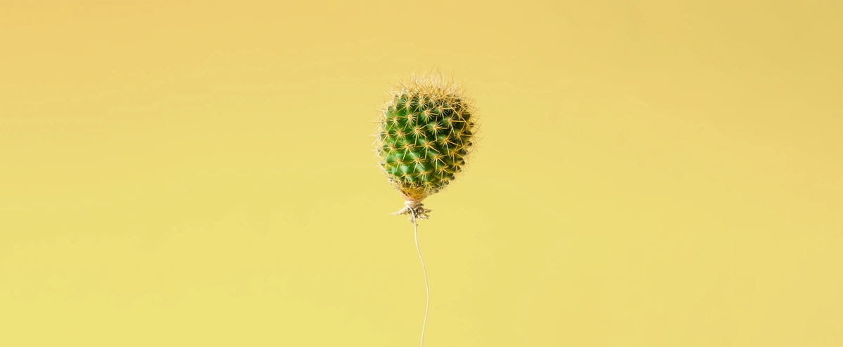 2023 - 04 BS - Header - Oh baby - Stills - Cactus - Shutterstock