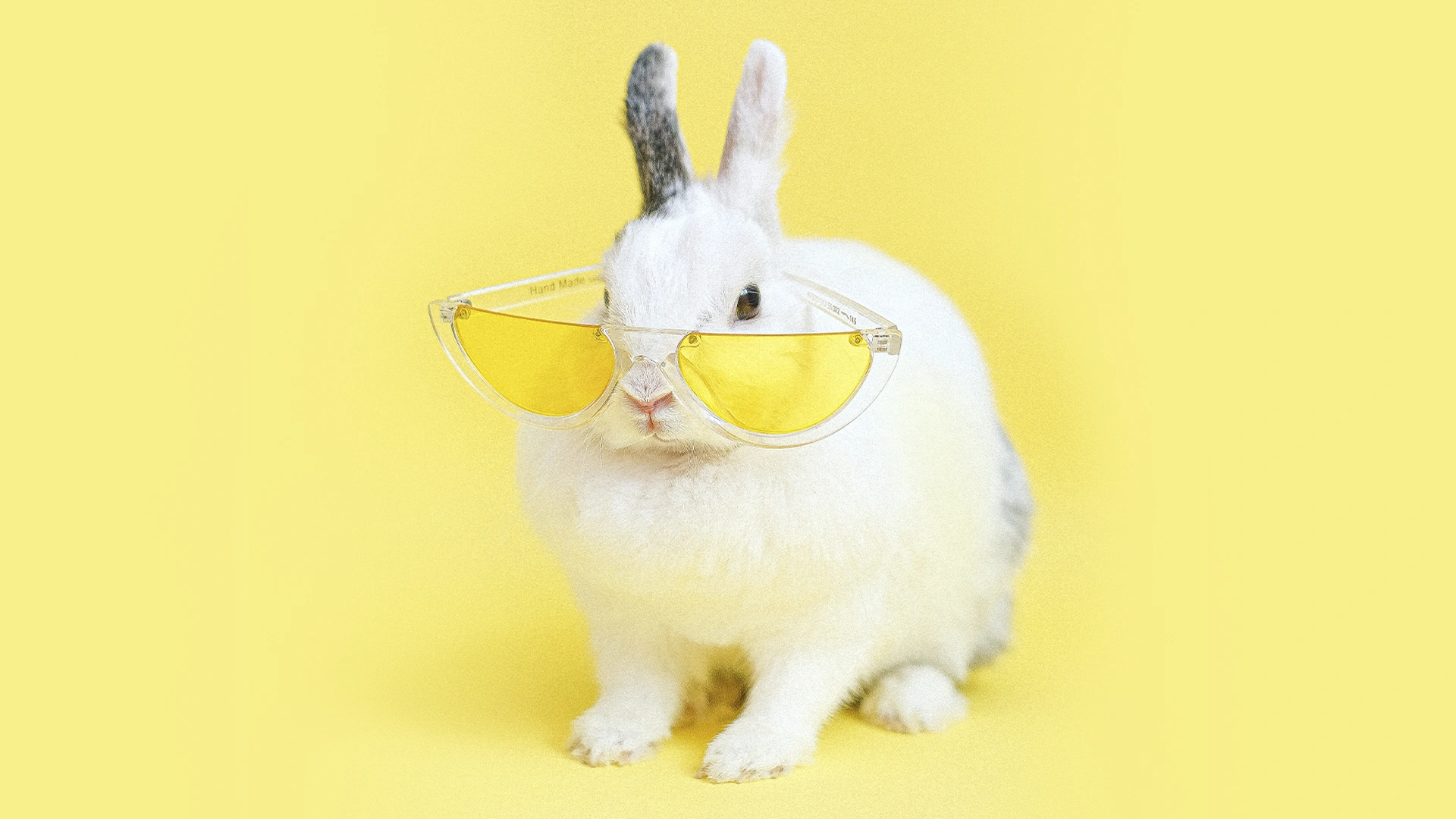 Dit is dé zonnebril die we deze zomer allemaal gaan dragen