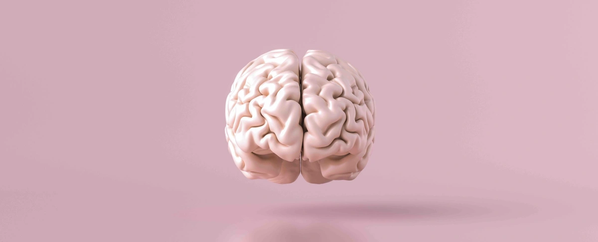 Holy shit: dit doet een zwangerschap met je brein