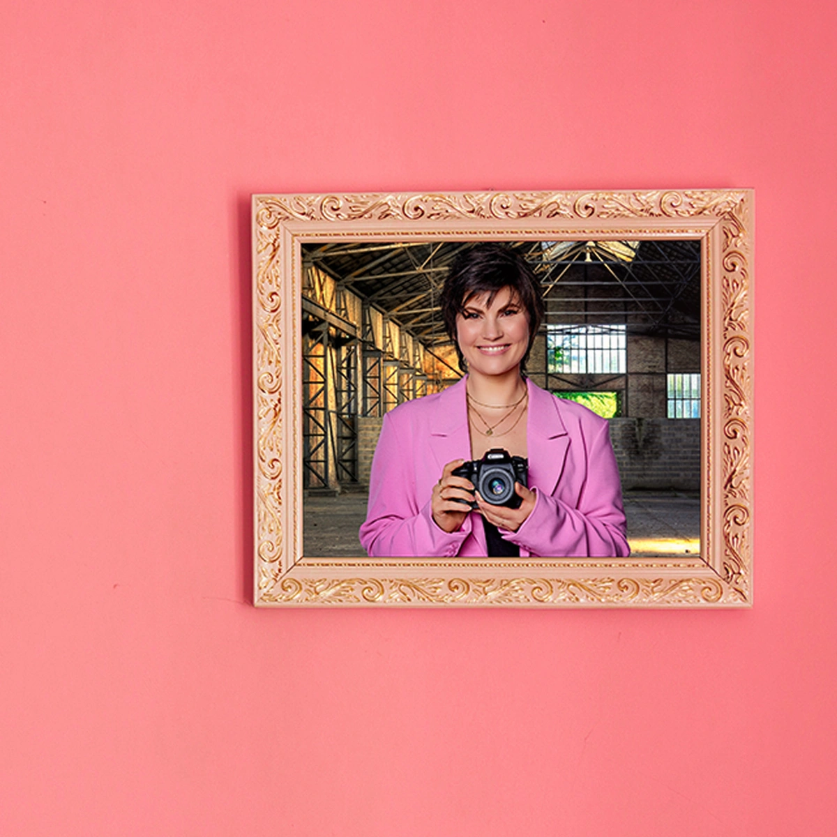 Het Perfecte Plaatje - Linda Hakeboom - header