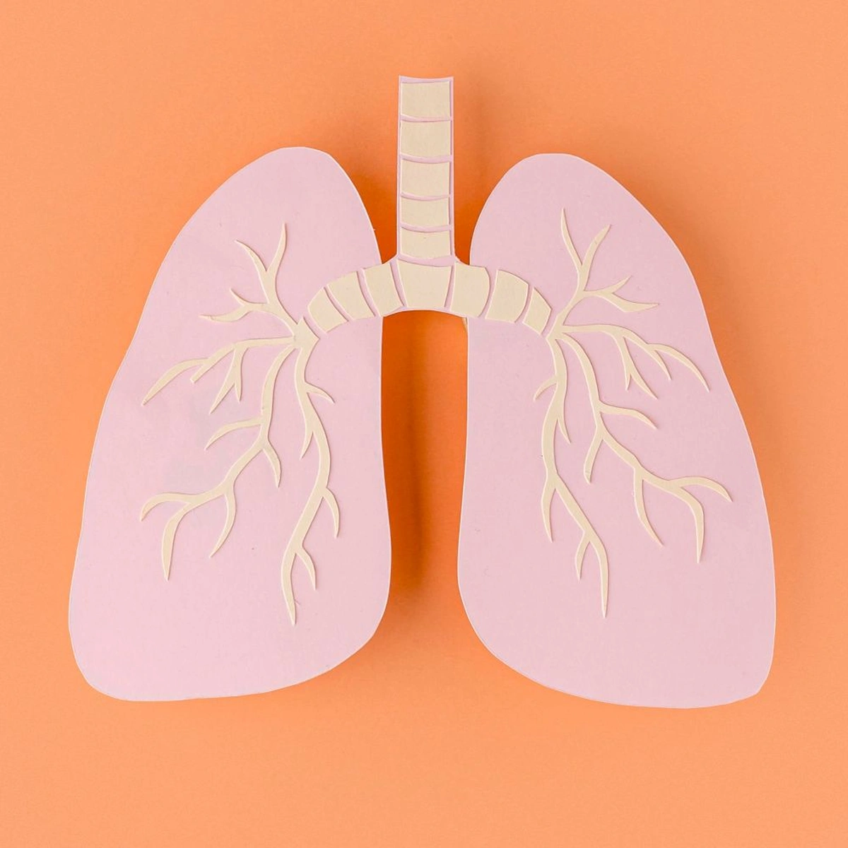 roken - longen - hoesten - gezondheid - beeld FreePik