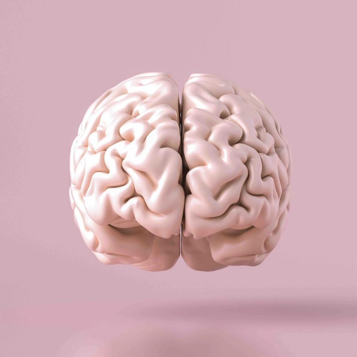 Header - Brein - Shutterstock