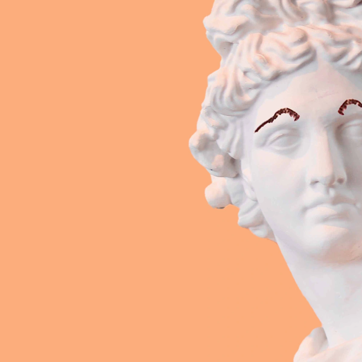 hero - buste - beeld - wenkbrauwen - pexels