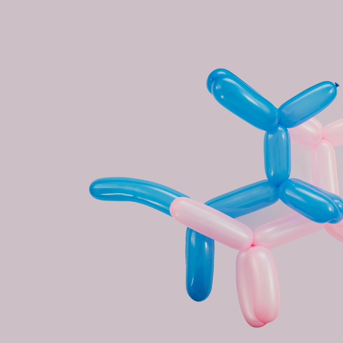 hero - seks - hondjes - kletsen - ballon - ketsen - pexels