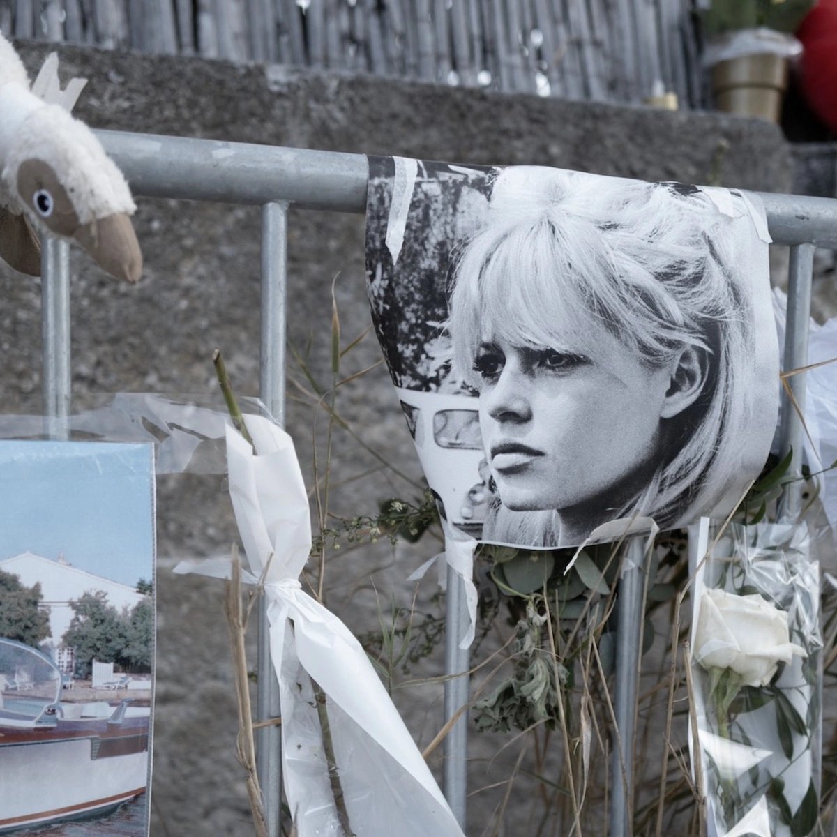 Header Brigitte Bardot ANP