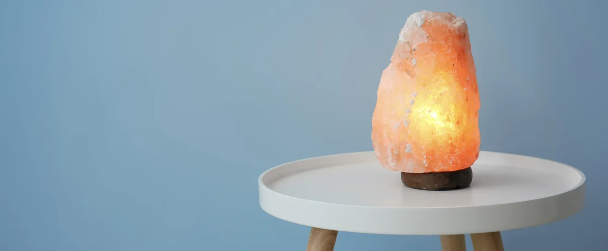 Header -zoutlamp - Shutterstock