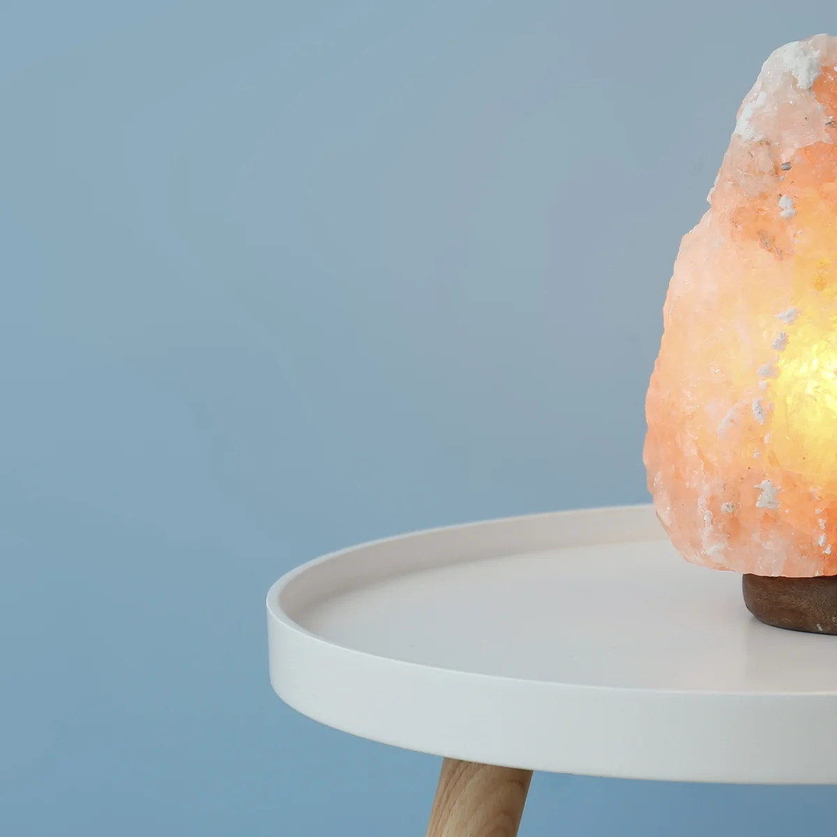 Header -zoutlamp - Shutterstock