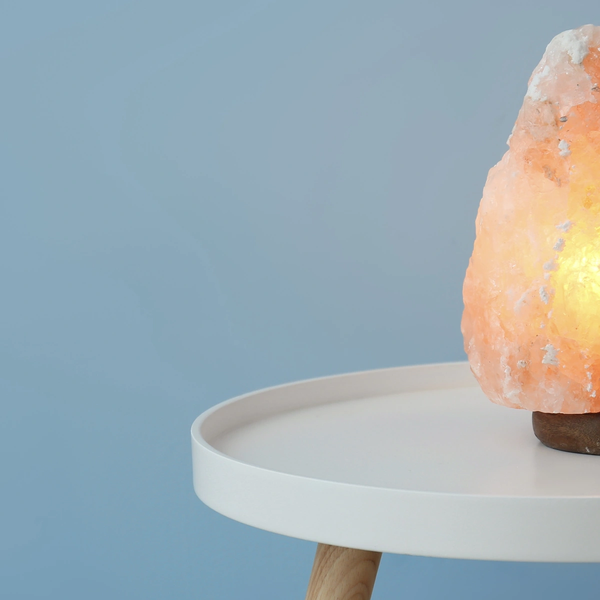 Header -zoutlamp - Shutterstock