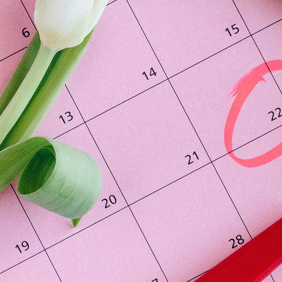 hero - kalender - test - zwanger - pexels