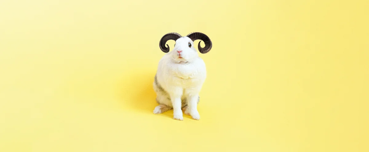 2023 - 04 BS- Header - Horoscoop - Ram - Oh Baby