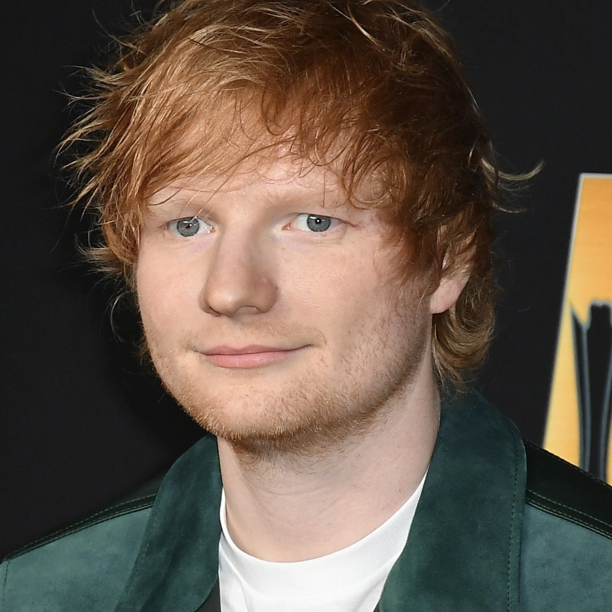 Header/hero - Ed Sheeran - NL Beeld