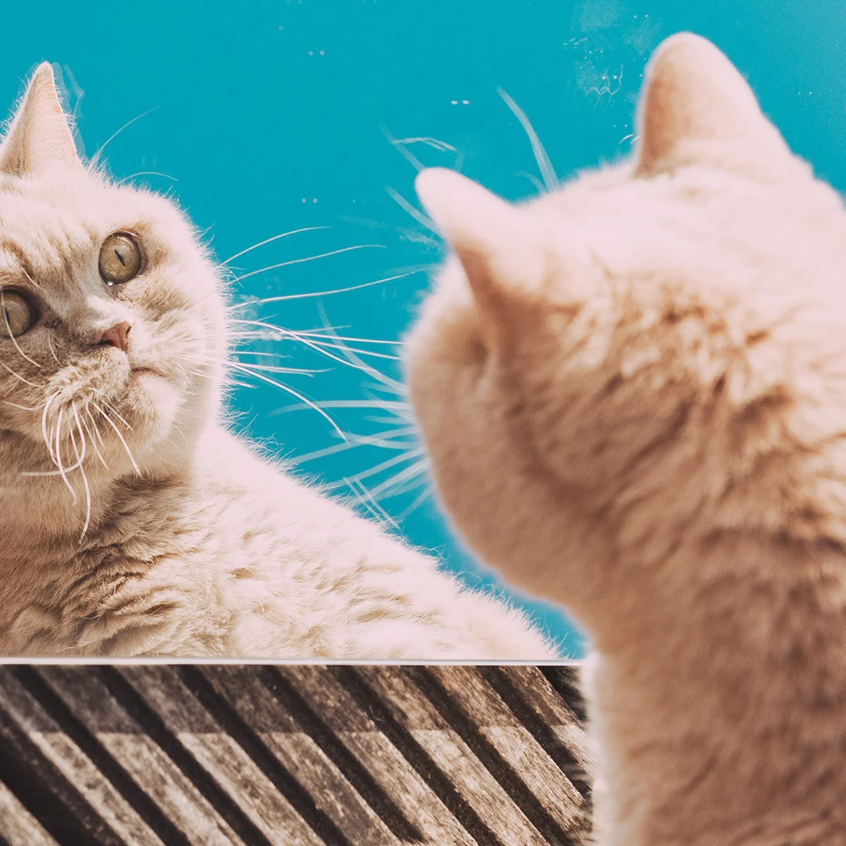 header - kater - snacks - unsplash