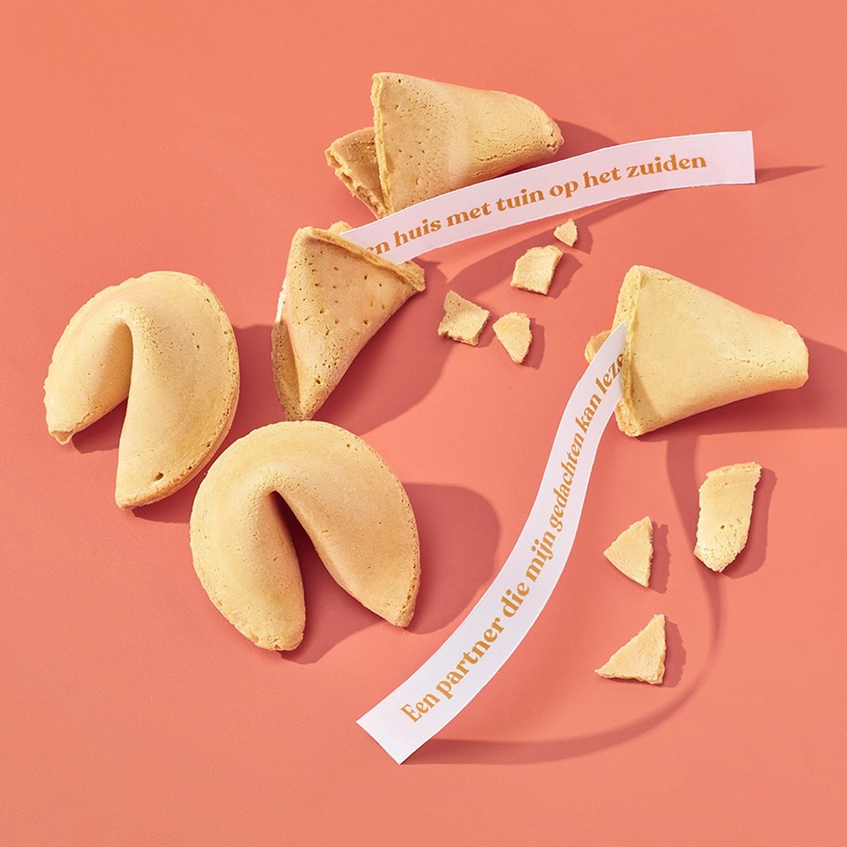 header - gelukskoekjes - snack - nieuwjaar - tom ten seldam