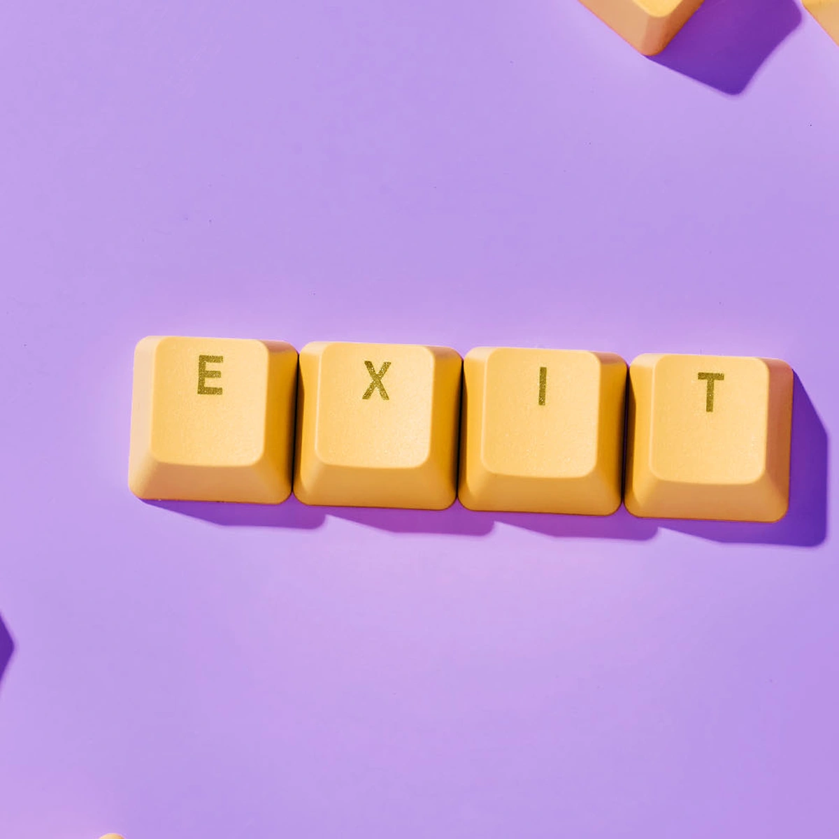 header - exit - carriere - computer - tech - tom ten seldam