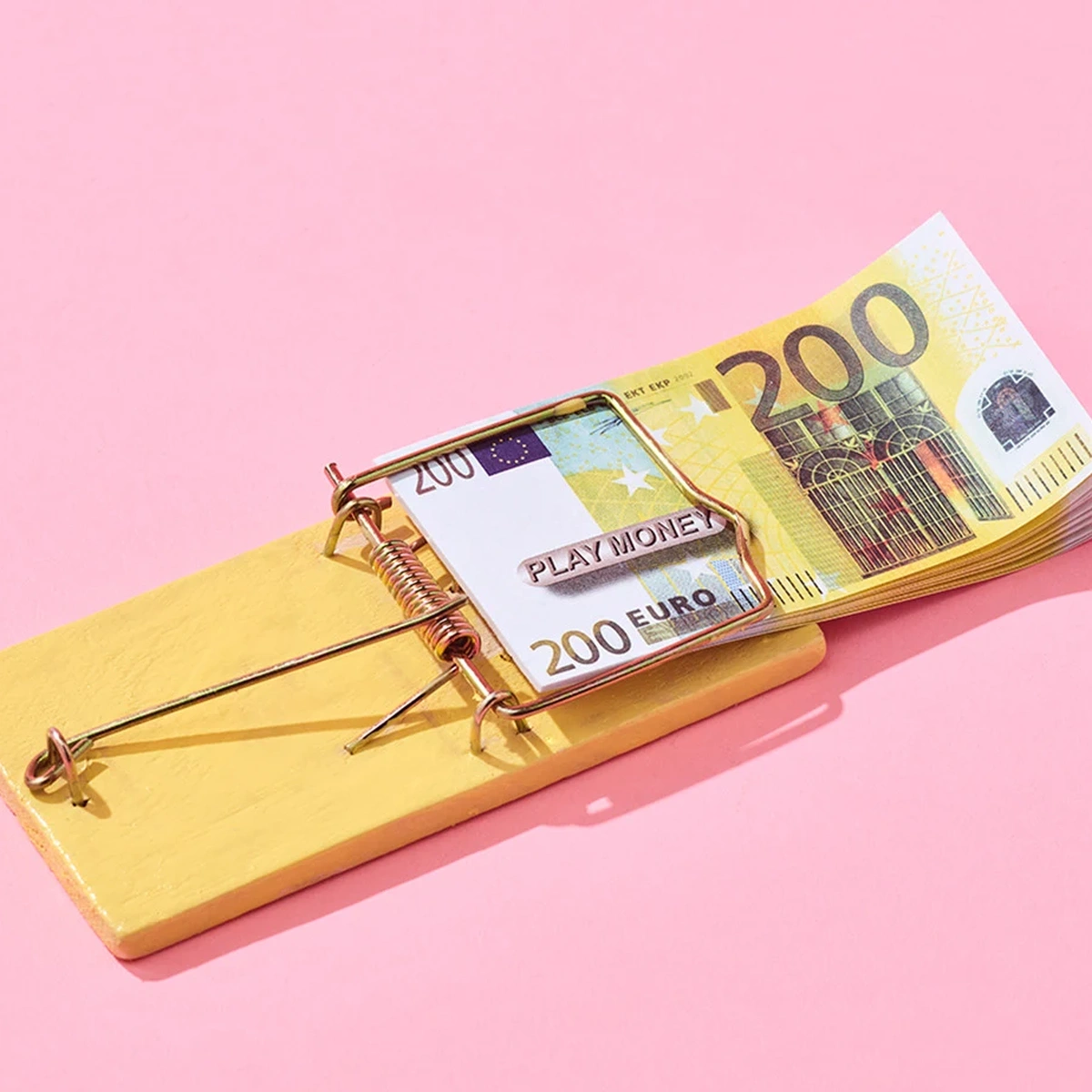 Geld - Muizenval - Tom ten Seldam - Header