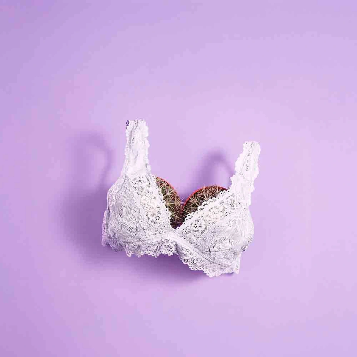 Editie 04 - Stills - B&M Verhaal 4 Mama - Paars - BH - Cactus - borsten - zwangerschap - fotografie Tiago Ventura, styling Chèri van Rijn - Header