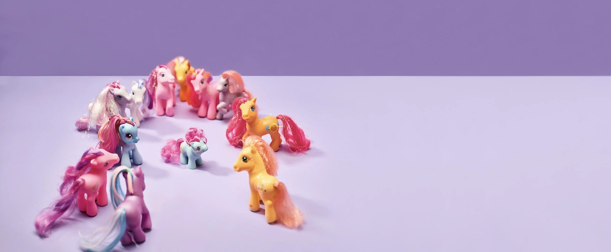 Header - ponies - gezin - Tom ten Seldam