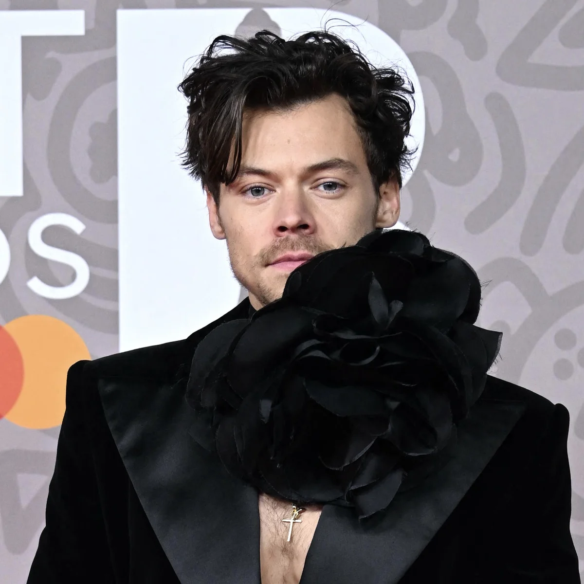 Header - Harry Styles - brunopress