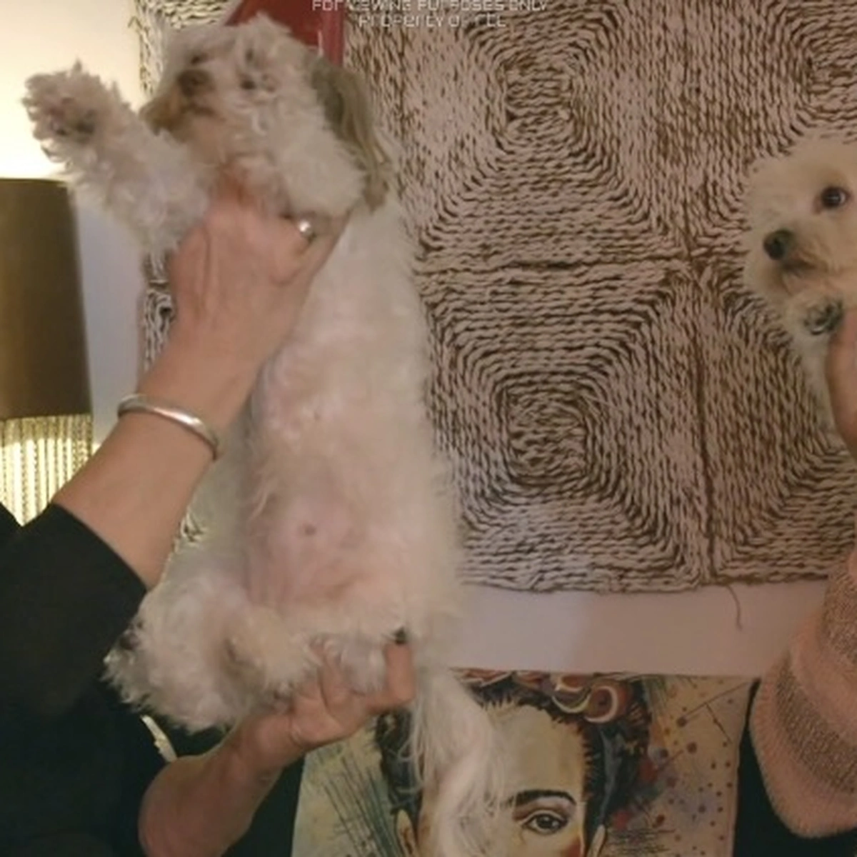 Winter vol liefde aflevering 1