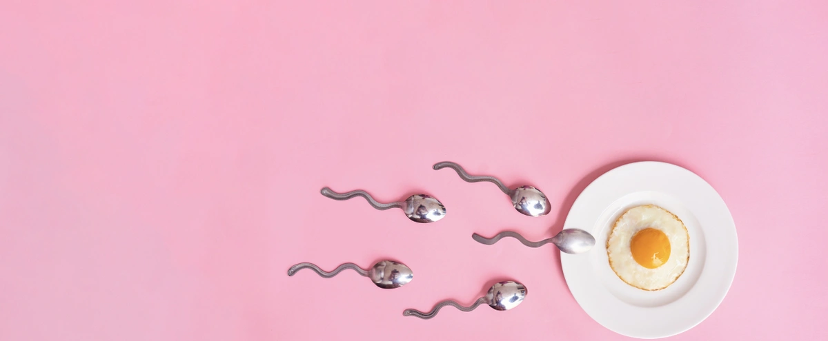 header - eten - ontbijt - ei - bevruchting - sperma - bord - bestek - shutterstock