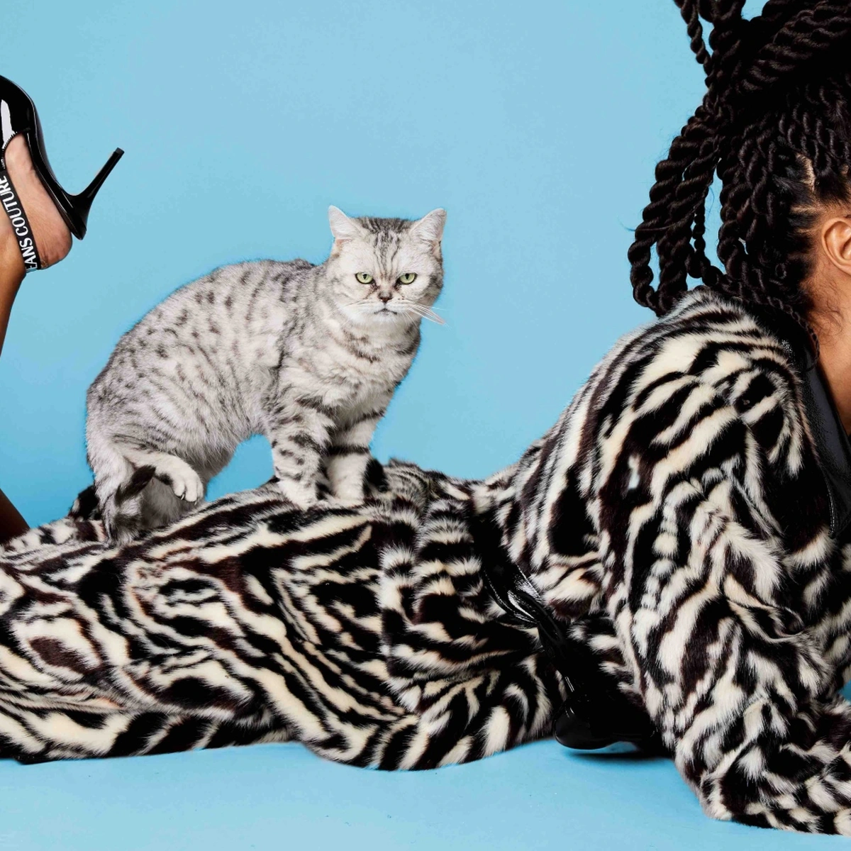 hero - jurk - zebra - hakken - kat - valentina - vos