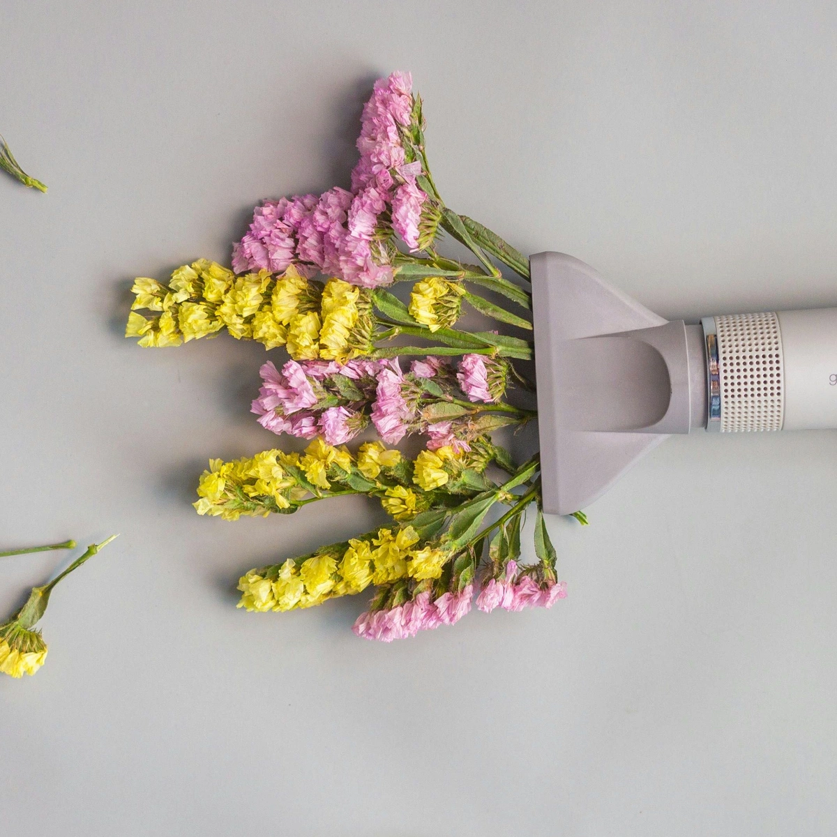 haarföhn hair dryer haar föhn- Pexels
