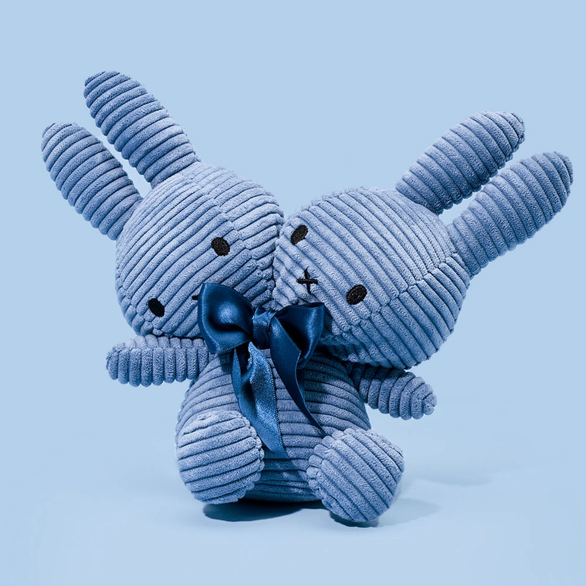 header - kind - oh baby - tweeling - lievelings - nijntje - tom ten seldam