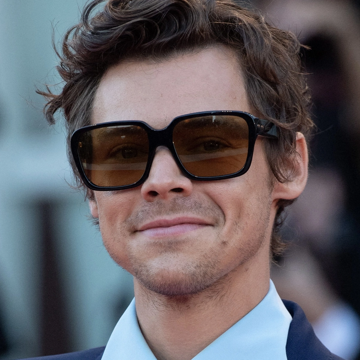 Header - Harry Styles - BrunoPress